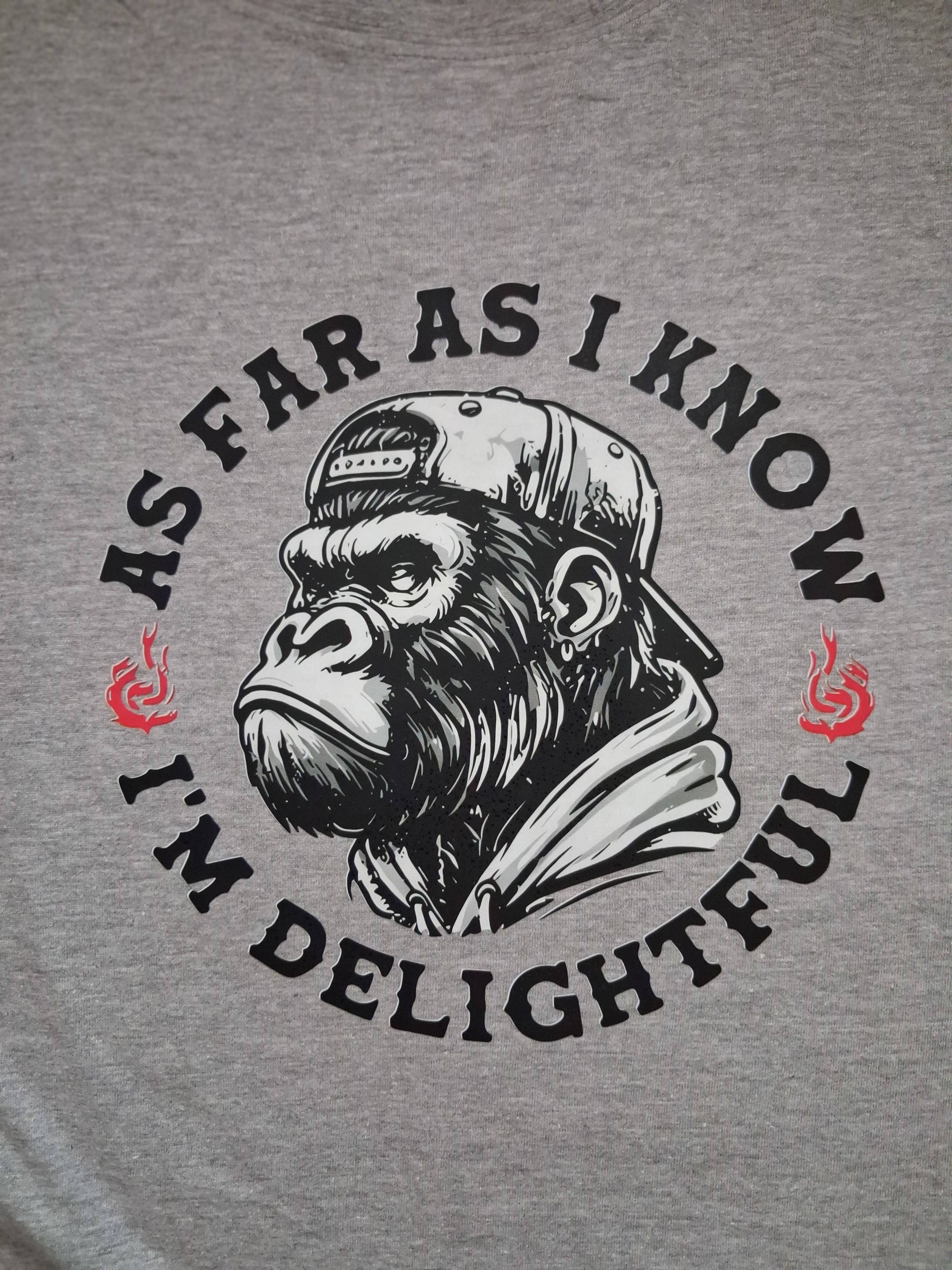 'Delightful' One-Off Boho Graphic Grey T-Shirt Size XL