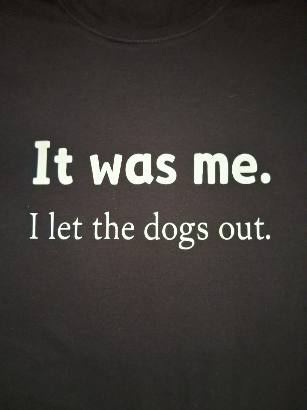 'It Was Me. I Let the Dogs Out.' Black Retro Graphic T-Shirt Size M