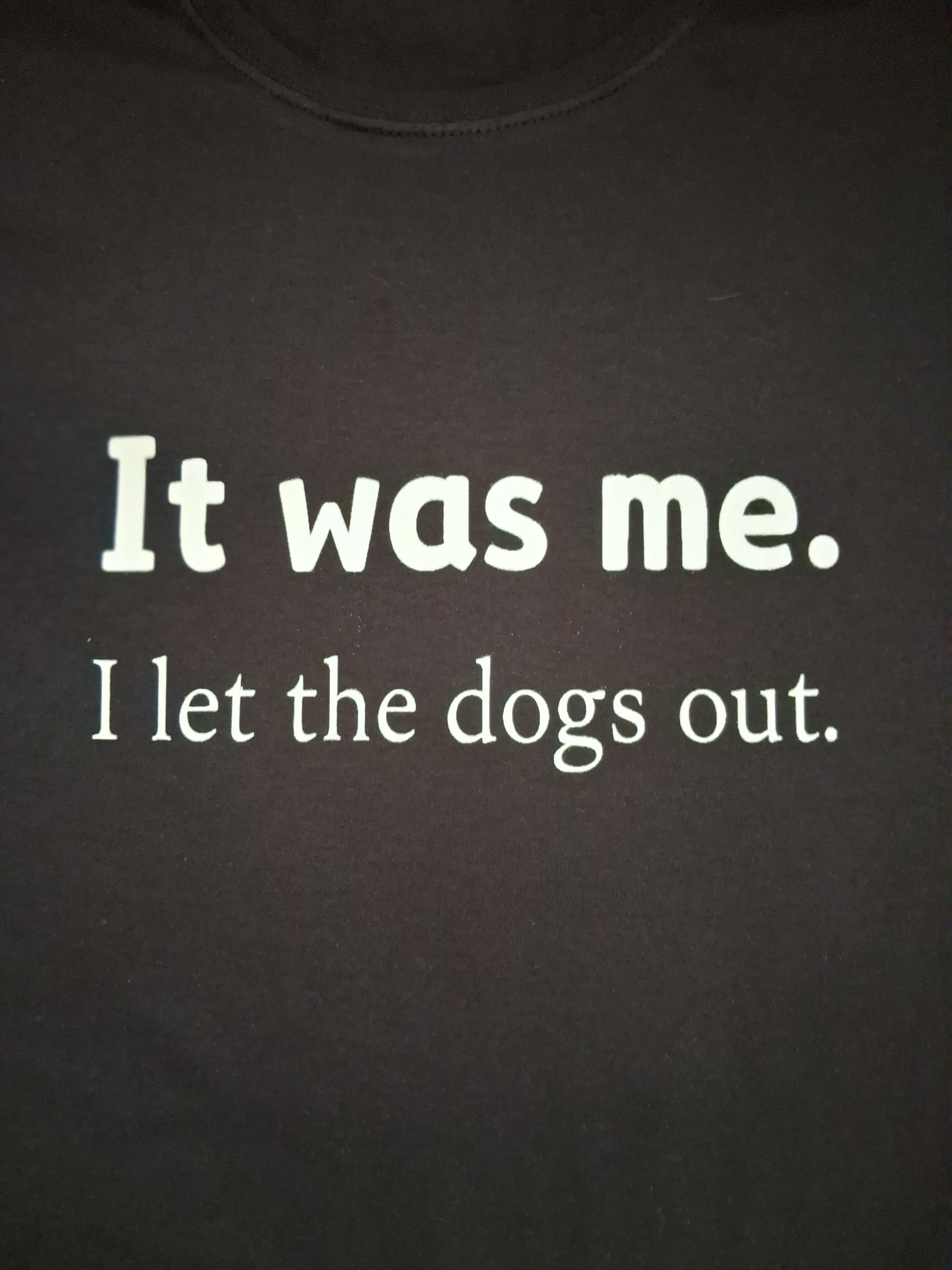 'It Was Me. I Let the Dogs Out.' Black Retro Graphic T-Shirt Size M