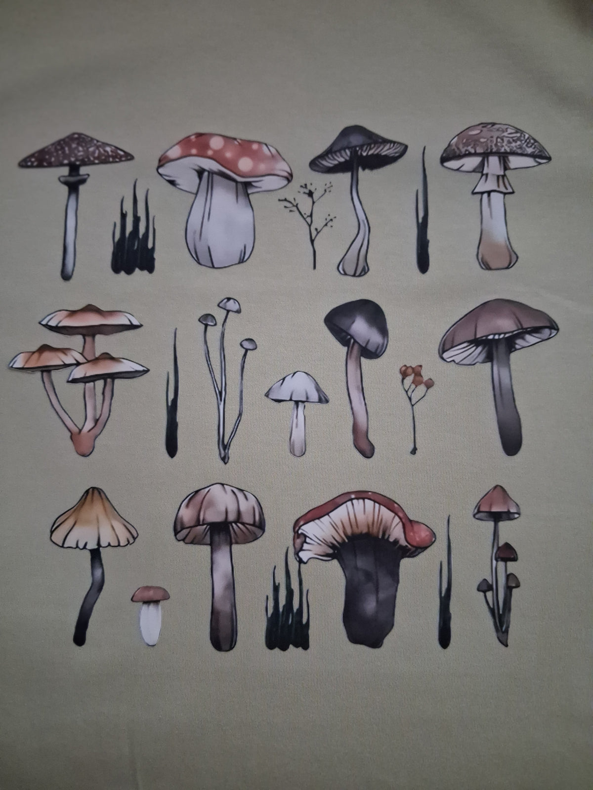 Sh'rooms One-Off Botanical Mushroom Graphic Sage Green T-Shirt | Size M